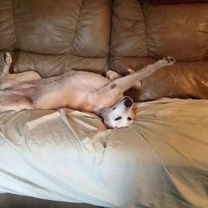 Meet your Posher, Christine